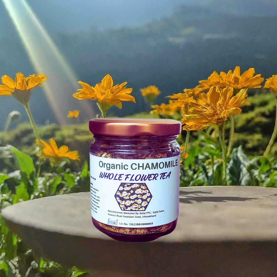 Premium Chamomile Elixir: Whole Flower Infusion for Wellness | Caffeine-free Chamomile tea for Relaxation, Natural sleep aid, menstrual cramps and overall wellness - Pure Chamomile Flowers - 18 Gram