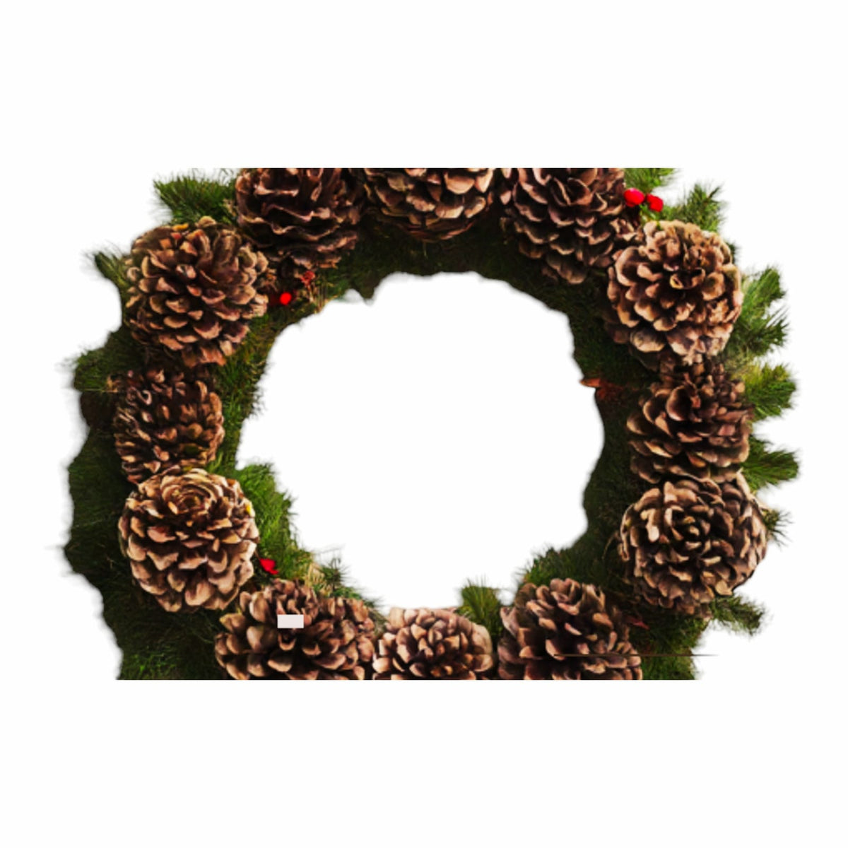 Pine cones set (Set of 5 cones ) : Nature's timeless beauty for your home and garden